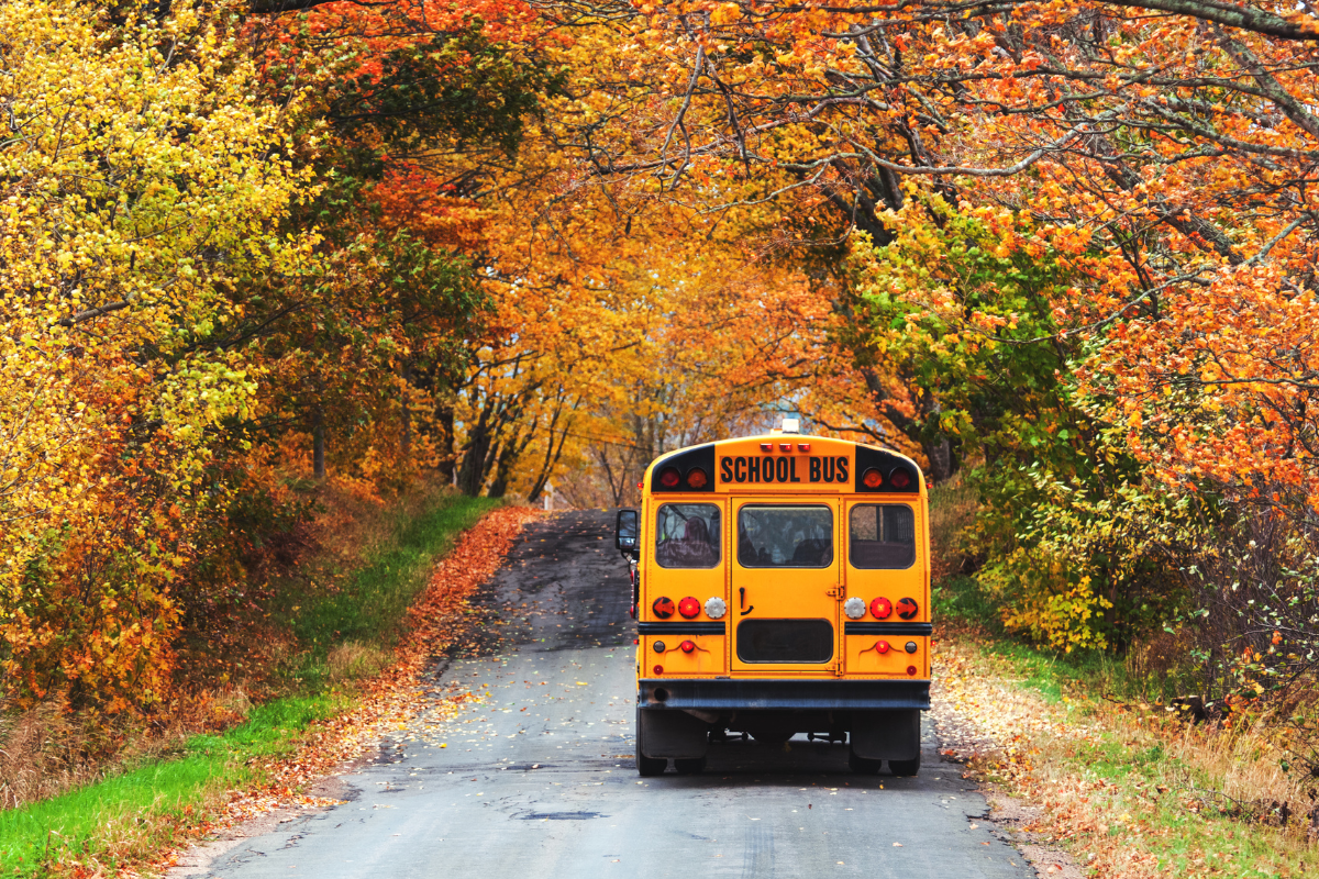 Autobus scolaire automne