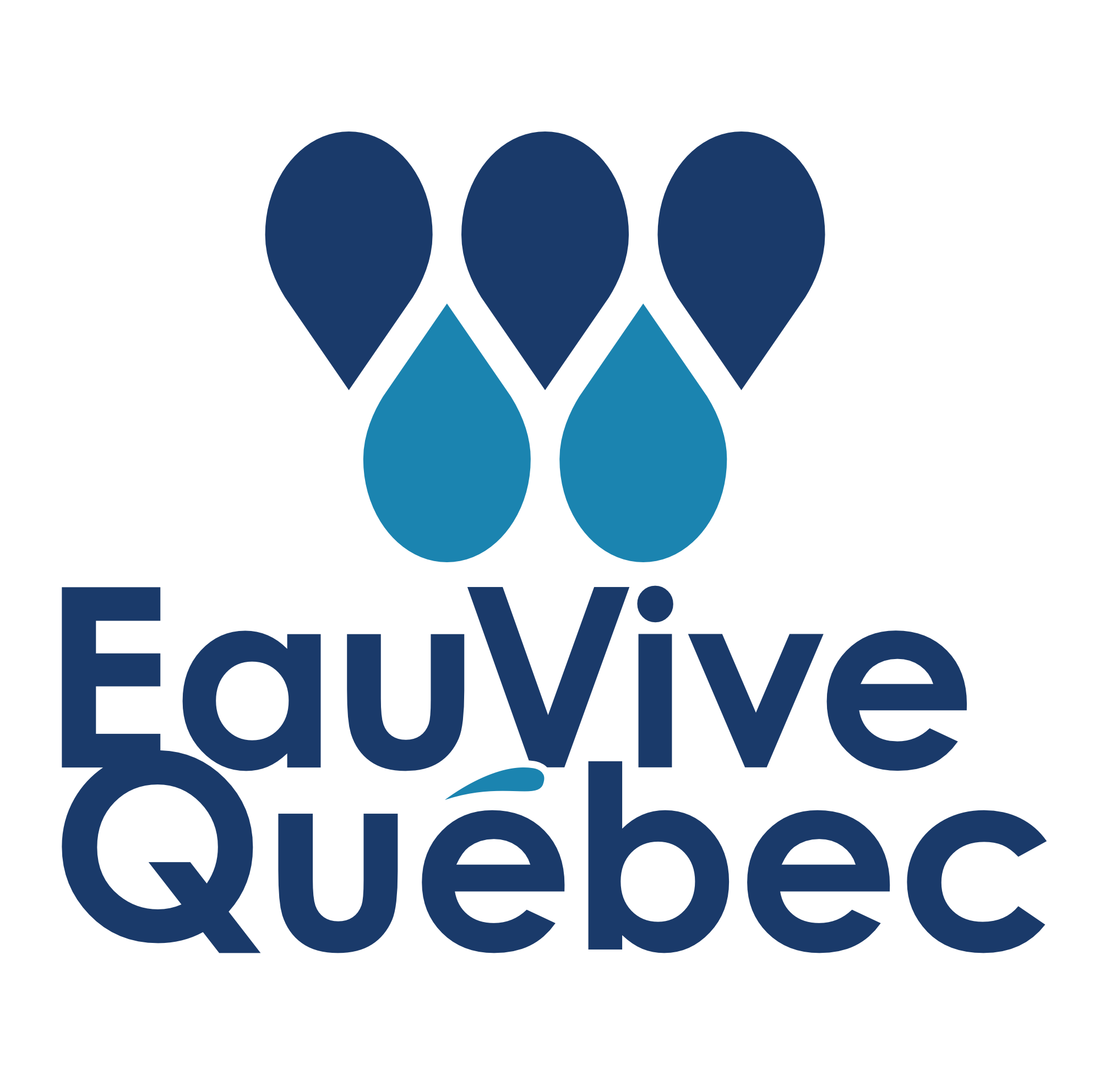 Logo Eau vive Québec