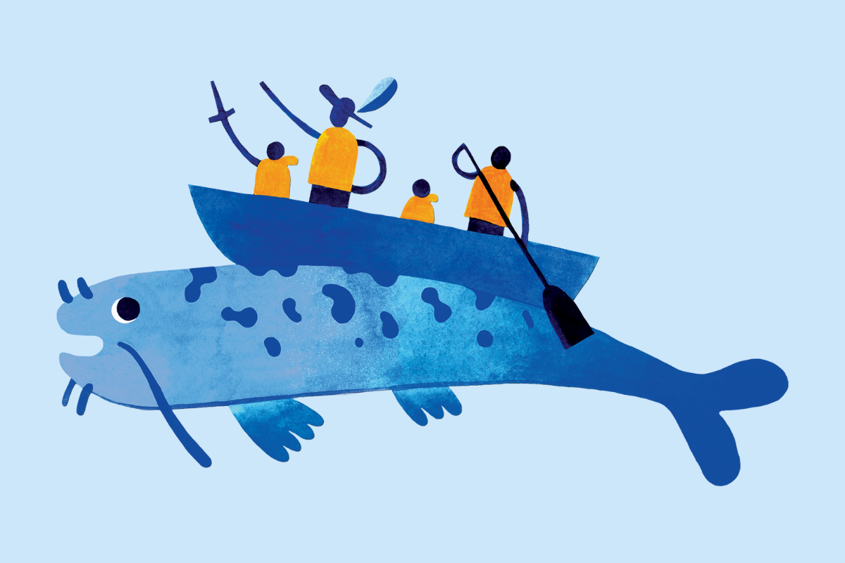 Campagne créateur poisson volant