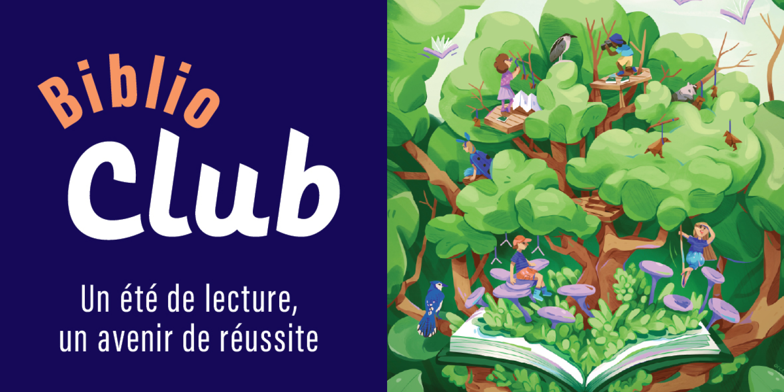 Biblio 1200 X800 bcb3