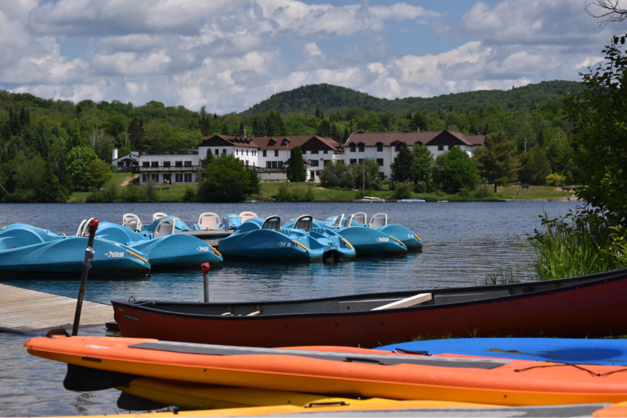 La Ptit Bonheur 35 1