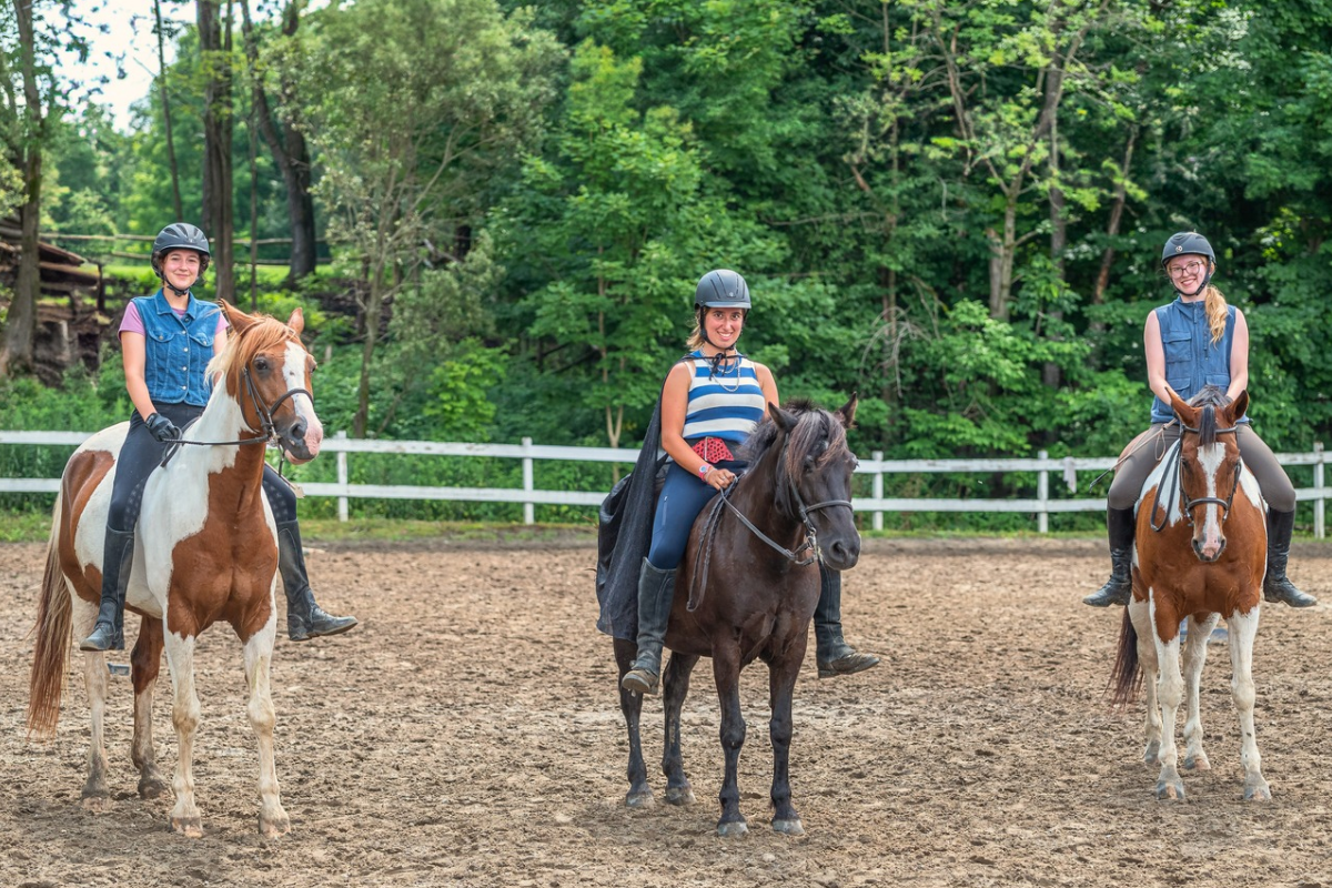 Équitation risque camp EGR