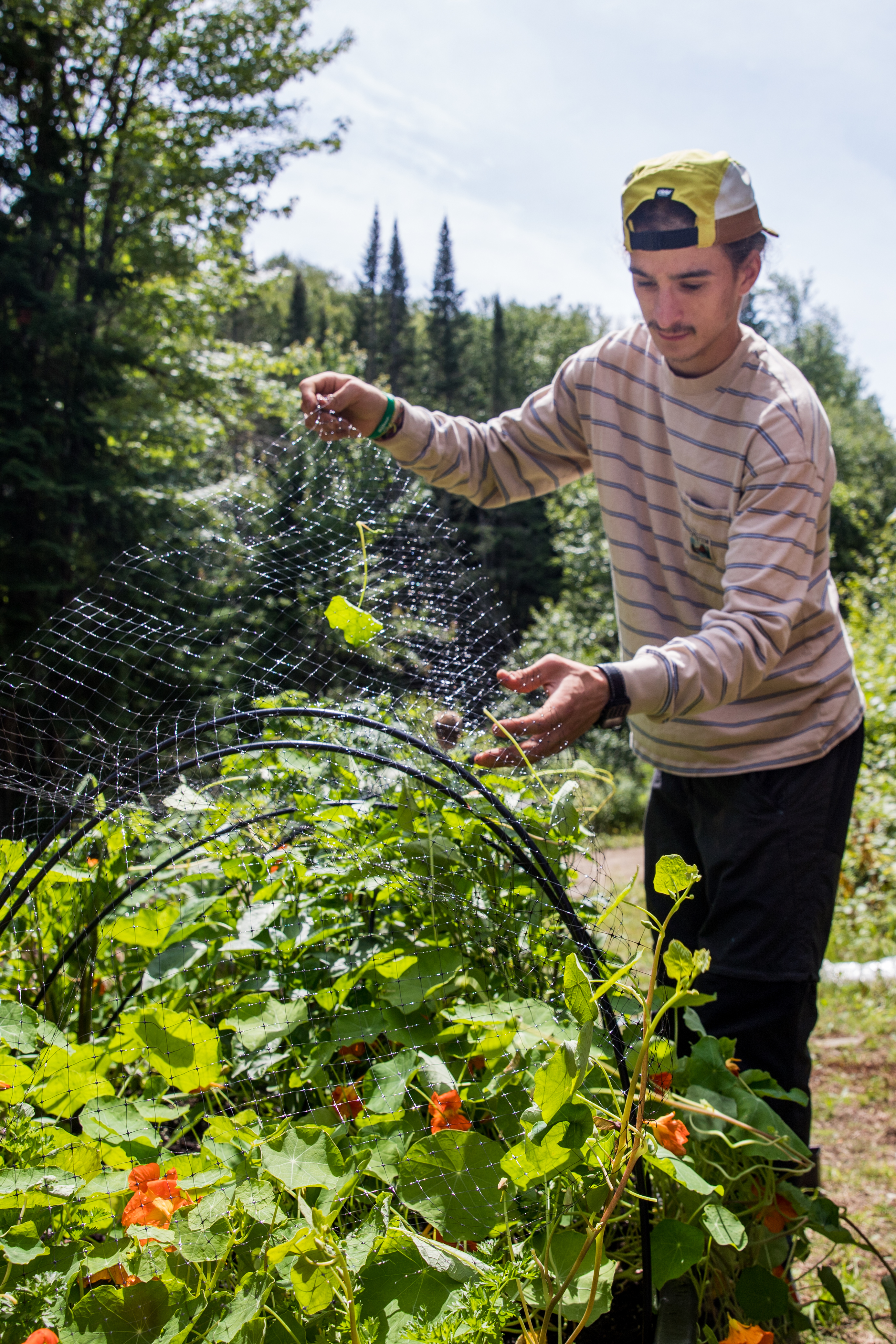 Petit Bonheur Ete 2024 15