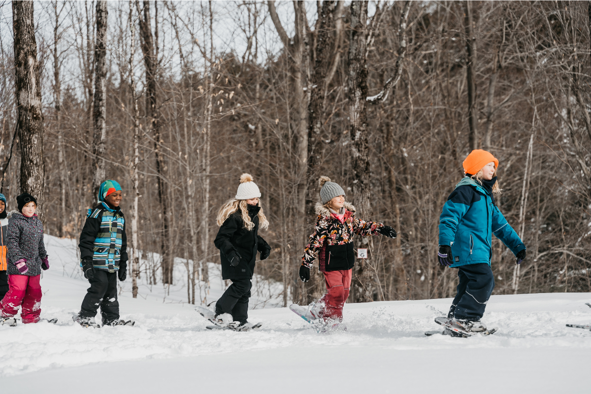 Classenaturehiver 1200x800px
