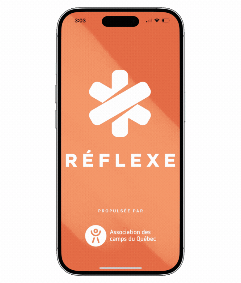 Gif reflexe avec contour