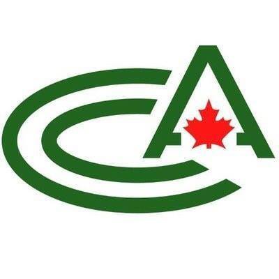 Logo CCA